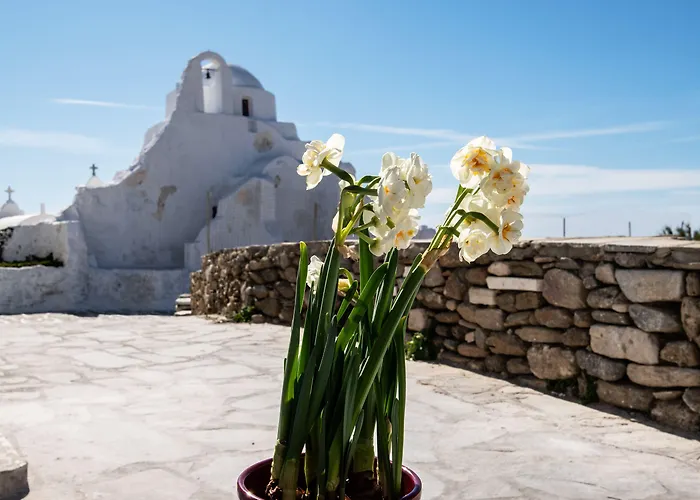 公寓式酒店 Sunset Paraportiani Mykonos Town